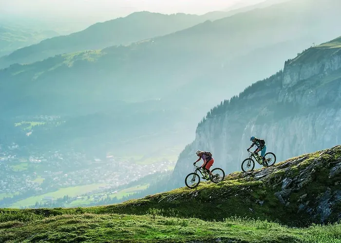 Daire Edelweiss Uletsch S 0.2