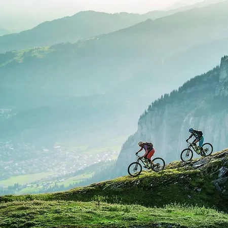 Διαμέρισμα Edelweiss Uletsch S 0.2